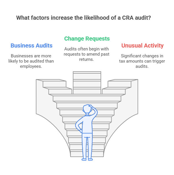 Who Gets Audited By the CRA