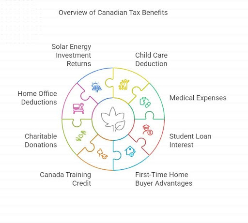 Canadian tax benefits infographics