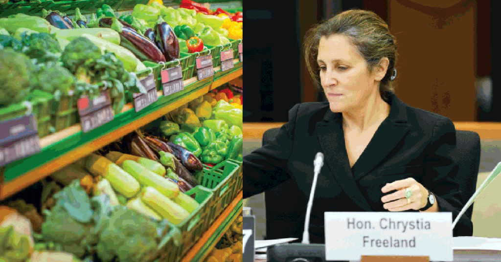 canada-s-one-time-grocery-rebate-is-taking-criticism